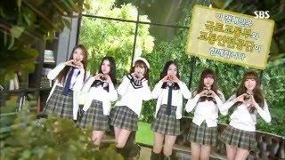 교통안전송 - 여자친구(GFRIEND) (feat.한국교통안전공단)