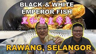 Black & White Emperor Fish | 黑和白皇帝鱼 | VILLAGE RESTAURANT 家乡小馆 | Gerai Makanan W Y K Baru | RAWANG