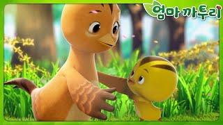 ️[엄마까투리] 시즌2 이어보기! | 엄마까투리 연속보기️
