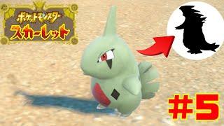 ついに遭遇！？エース級のポケモンを捕まえたいんだ #5【ポケットモンスター スカーレット】