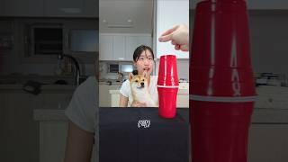 이 마술의 비밀은 무엇일까요?? #shorts
