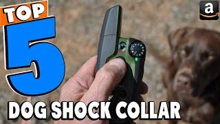 Top 5 Best Dog Shock Collar Review In 2024