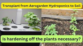 Transplant from Aerogarden Hydroponics to Soil | Is hardening off the plants necessary?