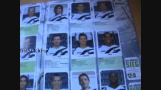 Bundesliga Saison 2006/2007 Panini Sticker Album 100%