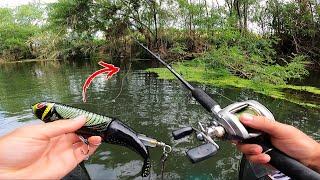 This Fish is TOO BIG for my EQUIPMENT! Discovery of a unique fishing!