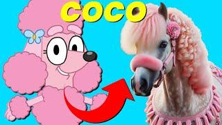 Bluey Characters In Real Life as Horses!  Do You Know All Of Them? | Season 1,2,3