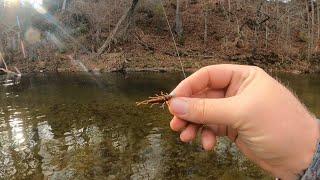 TROUT FISHING WITH JIGS (Fall Colors 101)