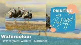 How to Paint Wildlife in Watercolours - Ostriches