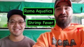 Shrimp Fever Tour & Tommy Lam Interview - Lots of Amazing Shrimp - Neocaridina, Caridina, Sulawesi