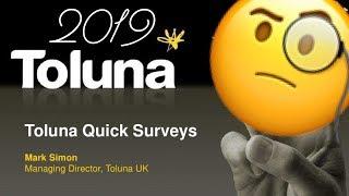 TOLUNA 2019 Make Money By Making and Taking Surveys