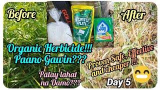 『Organic Herbicide paano Gawin?』〘Patay lahat na Damo〙