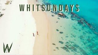 WHITSUNDAYS CATCH & COOK | getting chased by a shark on an epic reef formation | CAMPING & FISHING