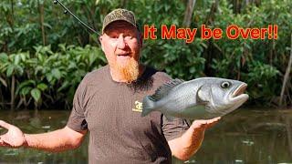 Big Bluegill Challenge - Fishing in a Canal Full of Exotic Fish!! (Catch and Cook)!!