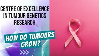 Finnish Centre of Excellence in Tumour Genetics Research