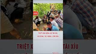 Triệt xóa điểm lắc tài xỉu do Dũng 'Xẹc Măng' cầm đầu #shortvideo #tintuc24h #news #tintuc #tinmoi