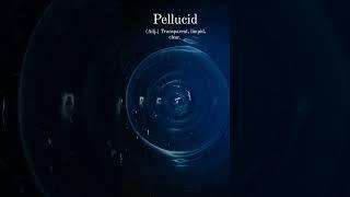 #pellucid #shorts #englishlanguage #youtubeshorts #trending