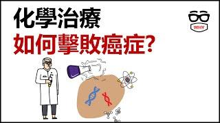 化學治療如何擊敗癌症: 作用原理及副作用解析｜WHY WHITE癌症系列