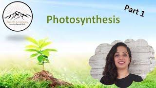 Photosynthesis (Part 1) || ICSE Class 10 - 2022 examination