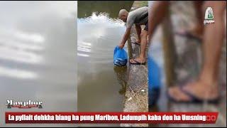 La pyllait dohkha biang ha pung Maribon, Ladumpih kaba don ha Umsning