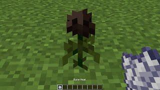 what if you grow a wither rose?