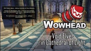 Void Elves in Cathedral of Light