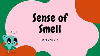 Learning the FIVE SENSES - SENSE OF SMELL | Enjoy Science for Kids