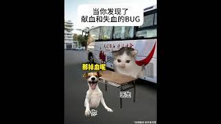当你发现了献血和失血的BUG  #猫meme #funny #喵哥是萌新  #meme #搞笑 #人類迷惑行為  #猫meme小剧场 #cat #meme猫  #pets #献血