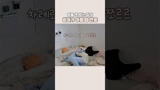 700만뷰아들만 셋인 집의 엄마가 아프면? #삼형제 #육아브이로그 #늦둥이