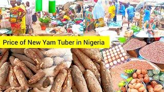 PRICE OF NEW TUBERS OF YAM, What $200 can BUY in NIGERIA 2024 || Cost living in WEST AFRICA