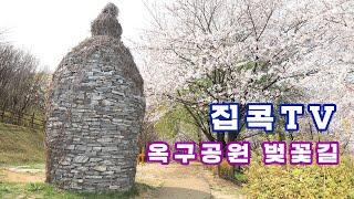 [집콕TV]옥구공원 벚꽃길