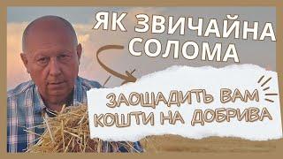 Як звичайна солома заощадить вам кошти на добрива?