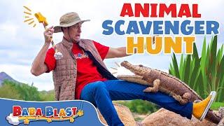 Animal Scavenger Hunt | Educational Videos for Kids | Baba Blast!