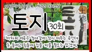 [토지. 30회]