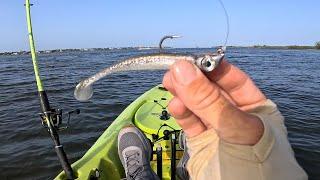 The Fish Couldn't Resist This Lure!!! Boat and Kayak Inshore Florida Fishing