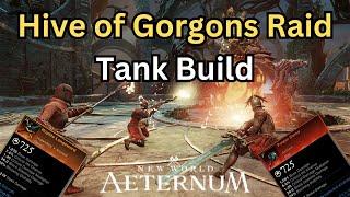 Hive of Gorgons Raid Tank Build New World Aeternum with Raid gameplay