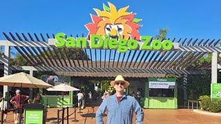 What To Do At The San Diego Zoo In 2024