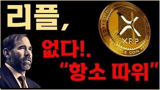 리플코인 XRP   밝혀졌습니다. 항소 따위 없다고.!