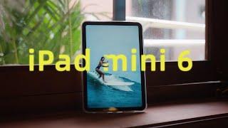 【视频大拍档】为视频创作而生的便携屏幕？iPad mini 6蜂窝版体验报告