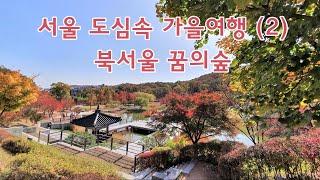 [북서울꿈의숲 가을 단풍] Dream Forest, Seoul