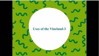 Clinical use of the new Vineland 3