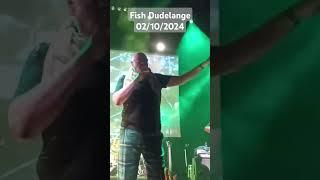 Fish live 2024