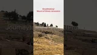 #Explorejerusalem #withPropheticRobert #RickWarren #ginojenningslivestream Mount of Olives Jerusalem