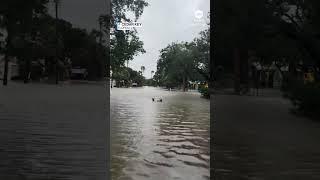 Tropical Storm Debby slams Florida