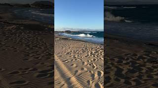 Beaches of Corralejo ️ Fuerteventura #fuerteventura #travel