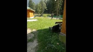 kashmir the untouched destination. Heaven on earth .عبد العزيز الظهراني #القرآن_الكريم #quran #islam