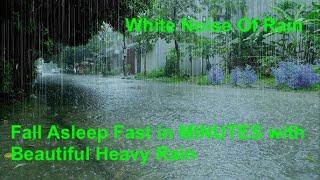 Rain Sound For Relaxing/Rain Sound For Sleeping / Instantly Fall Asleep With Rain And Thunder Sound