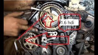 calage distribution moteur 1.6 hdi - محرك ديزل تركيب كاتينة@mecaniquemokhtartunsie