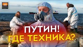 Черное море – живи! Кто виноват в экологической катастрофе  | Эхо регионов