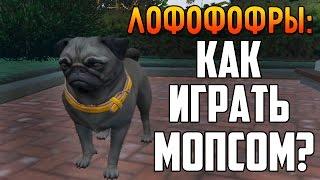 GTA 5 - Как Играть За Мопса? [ЛОФОФОРЫ] #7