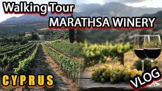 WalkingTour Marathasa Winery Cyprus. Winery Tour in Cyprus. Places to Visit in Cyprus